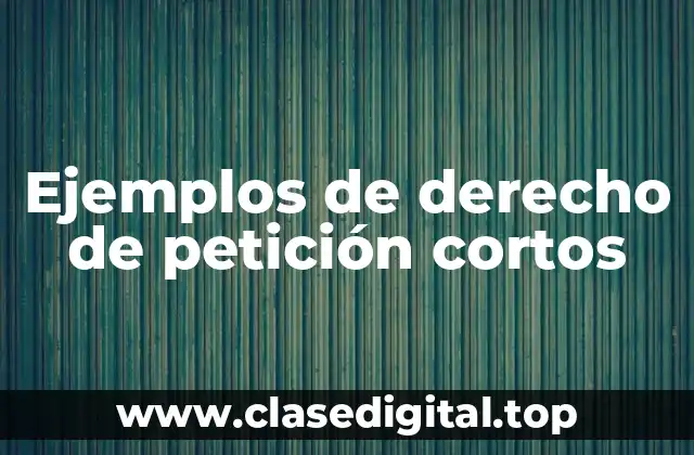 Ejemplos de derecho de petición cortos