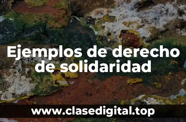 Ejemplos de derecho de solidaridad