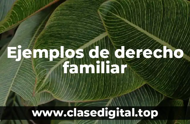 Ejemplos de derecho familiar