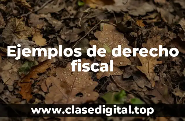 Ejemplos de derecho fiscal