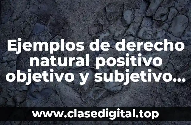 Ejemplos de derecho natural positivo objetivo y subjetivo y Significado