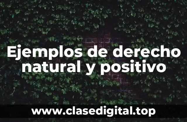 Ejemplos de derecho natural y positivo