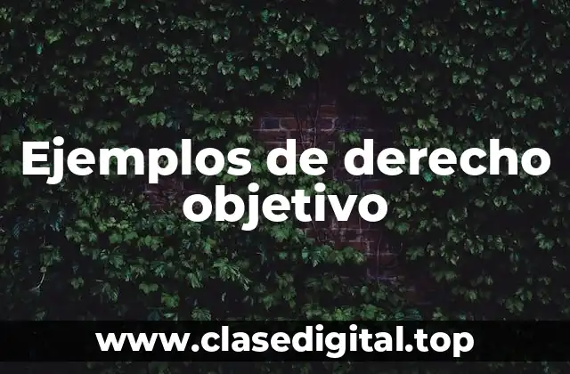 Ejemplos de derecho objetivo