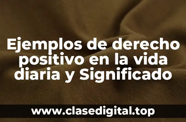 Ejemplos de derecho positivo en la vida diaria y Significado