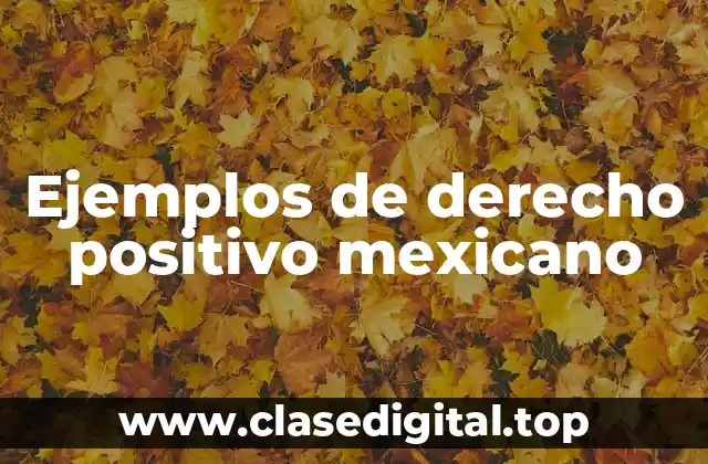 Ejemplos de derecho positivo mexicano