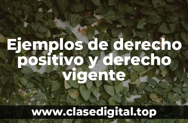 Ejemplos de derecho positivo
