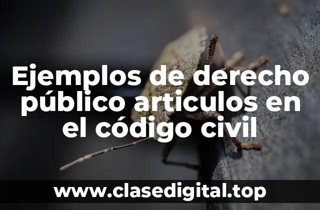 Ejemplos de derecho público articulos en el código civil