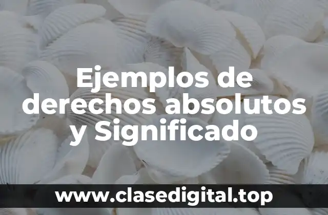 Ejemplos de derechos absolutos y Significado