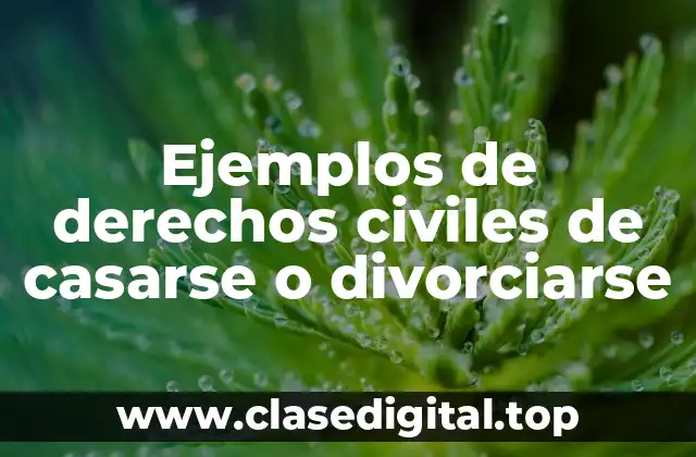 Ejemplos de derechos civiles de casarse o divorciarse