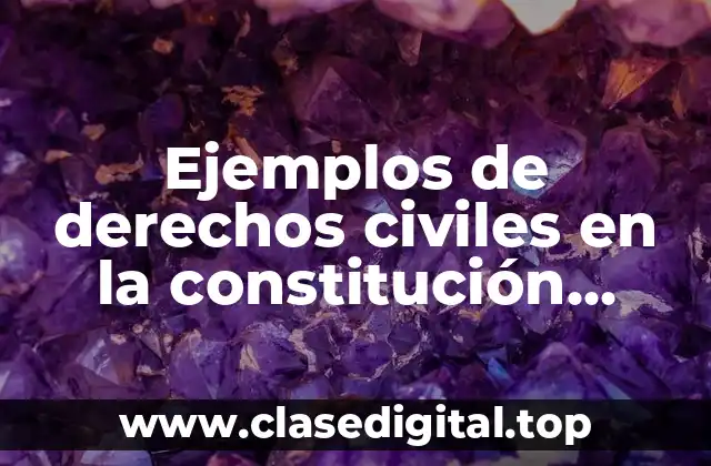 Ejemplos de derechos civiles en la constitución argentina