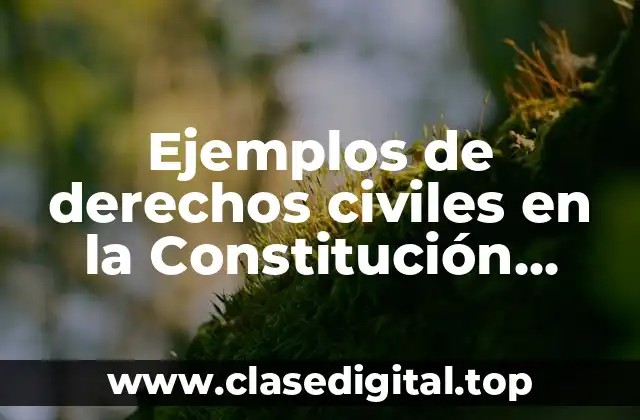 Ejemplos de derechos civiles en la Constitución Mexicana