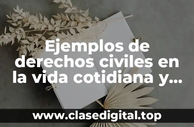 Ejemplos de derechos civiles en la vida cotidiana y Significado