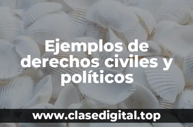 Ejemplos de derechos civiles y políticos