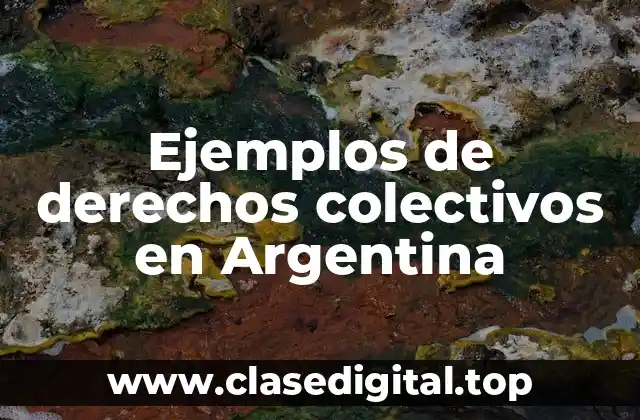 Ejemplos de derechos colectivos en Argentina