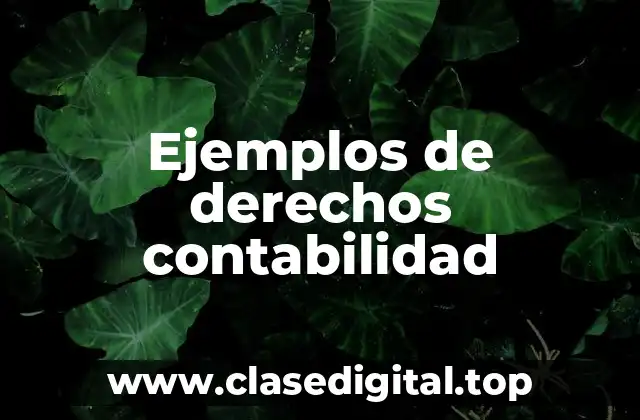 Ejemplos de derechos contabilidad