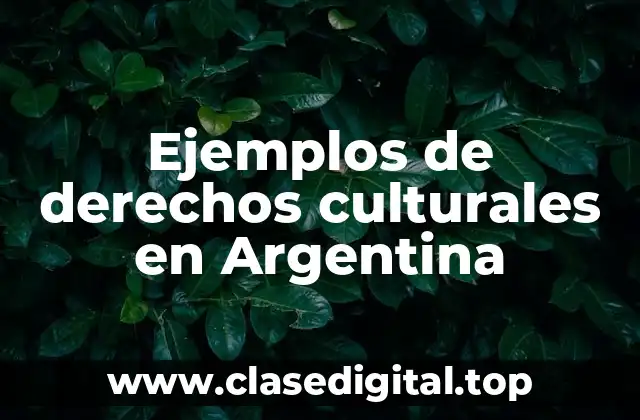 Ejemplos de derechos culturales en Argentina