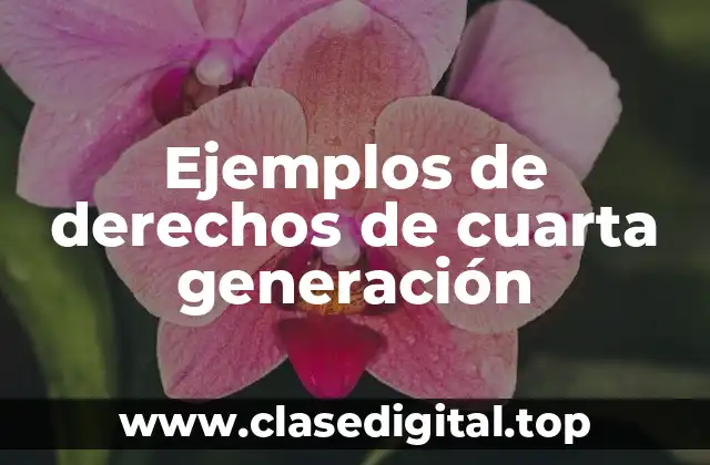 Ejemplos de derechos de cuarta generación