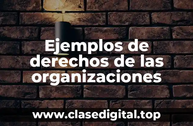 Ejemplos de derechos de las organizaciones
