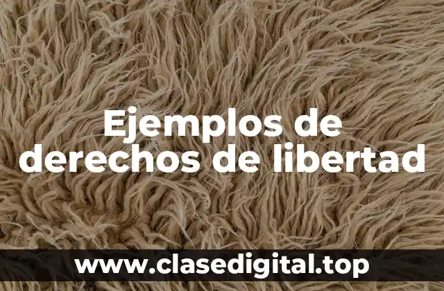 Ejemplos de derechos de libertad