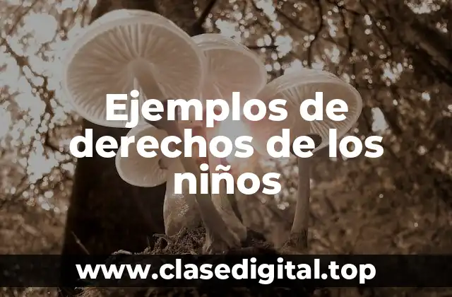 Ejemplos de derechos de los niños