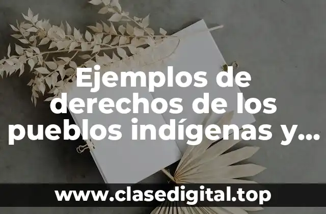 Ejemplos de derechos de los pueblos indígenas y Significado