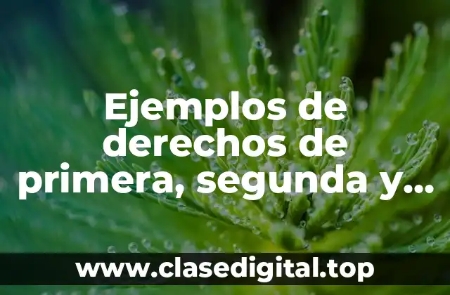 Ejemplos de derechos de primera, segunda y tercera generación y Significado