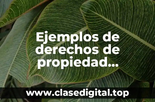 Ejemplos de derechos de propiedad intelectual