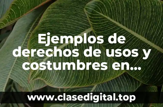 Ejemplos de derechos de usos y costumbres en México