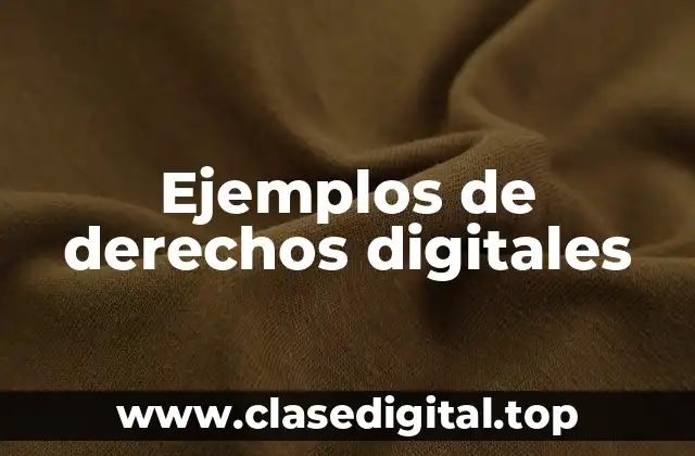 Ejemplos de derechos digitales