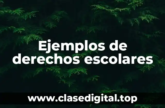 Ejemplos de derechos escolares