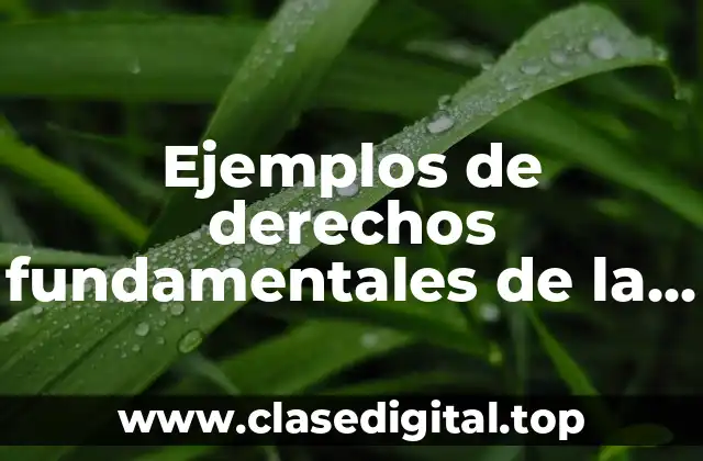 Ejemplos de derechos fundamentales de la vida cotidiana y Significado