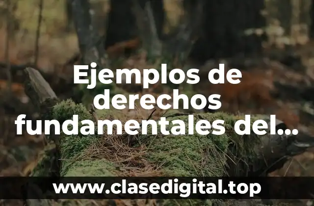 Ejemplos de derechos fundamentales del ser humano