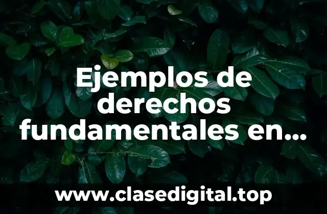 Ejemplos de derechos fundamentales en Colombia