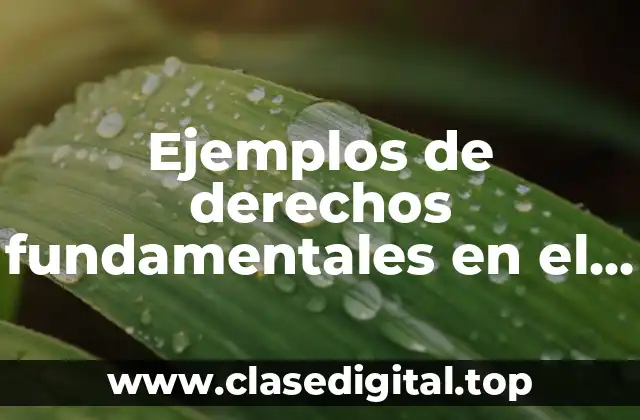 Ejemplos de derechos fundamentales en el Perú