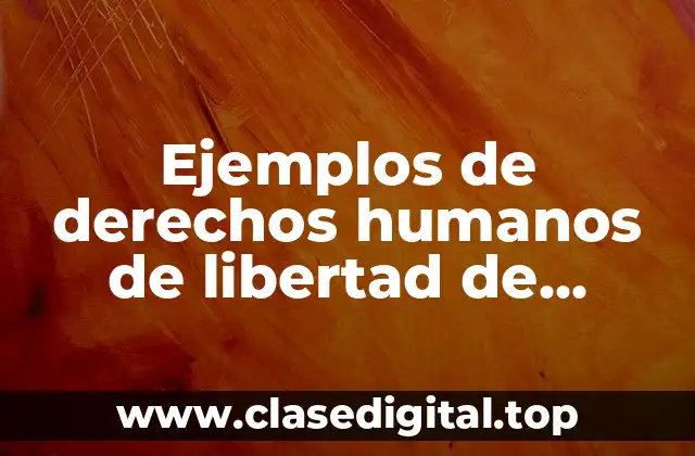 Ejemplos de derechos humanos de libertad de expresión