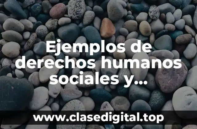 Ejemplos de derechos humanos sociales