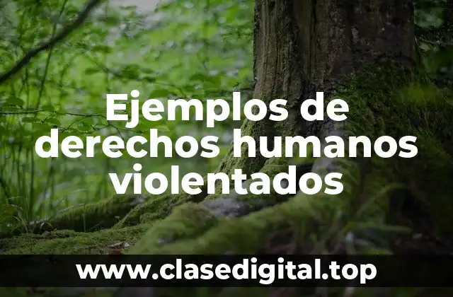 Ejemplos de derechos humanos violentados