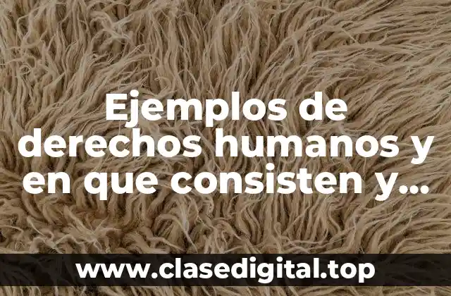 Ejemplos de derechos humanos y en que consisten y Significado