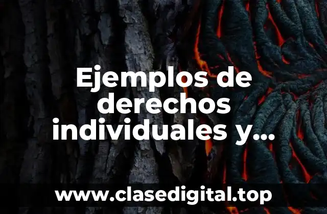 Ejemplos de derechos individuales y Significado