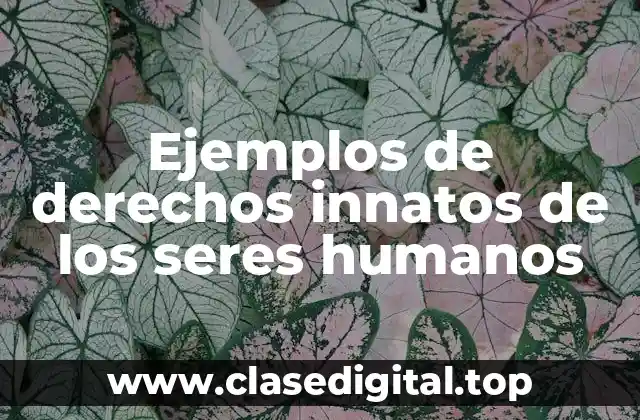 Ejemplos de derechos innatos de los seres humanos