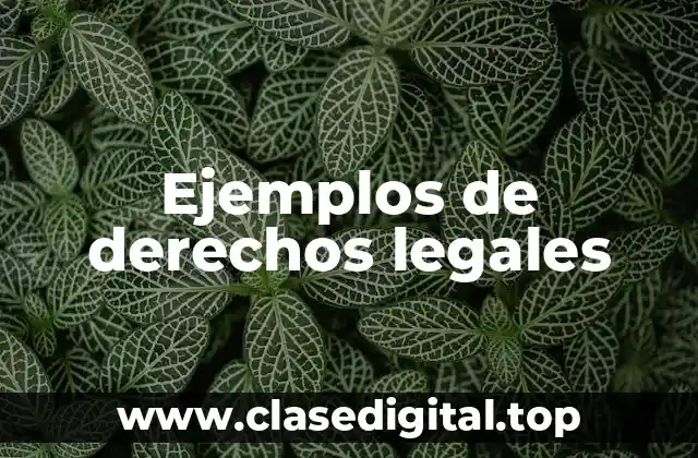 Ejemplos de derechos legales