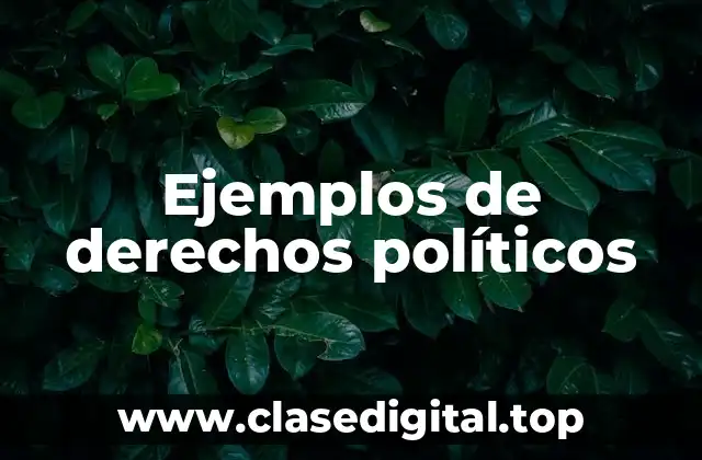 Ejemplos de derechos políticos