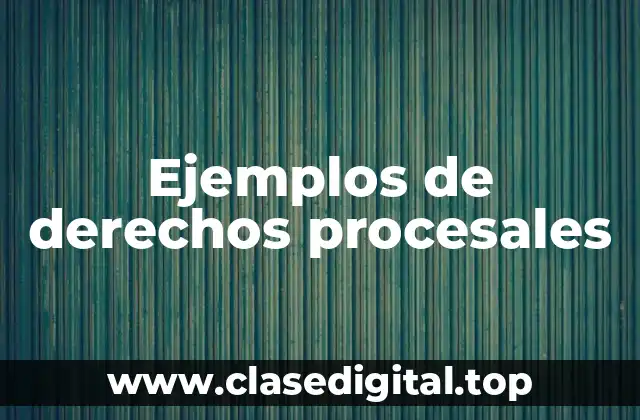 Ejemplos de derechos procesales