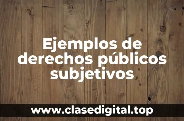 Ejemplos de derechos públicos subjetivos