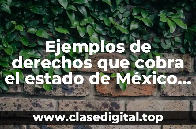 Ejemplos de derechos que cobra el estado de México
