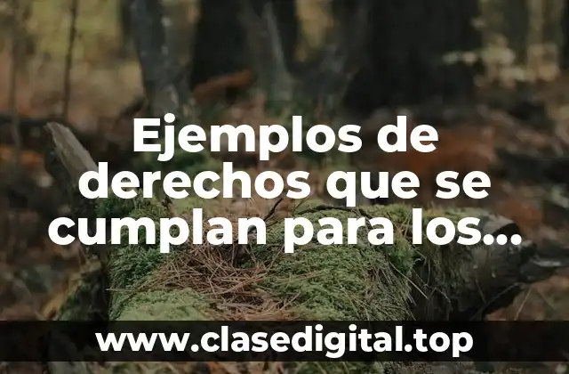 Ejemplos de derechos que se cumplan para los niños