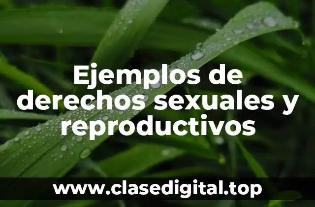Ejemplos de derechos sexuales y reproductivos