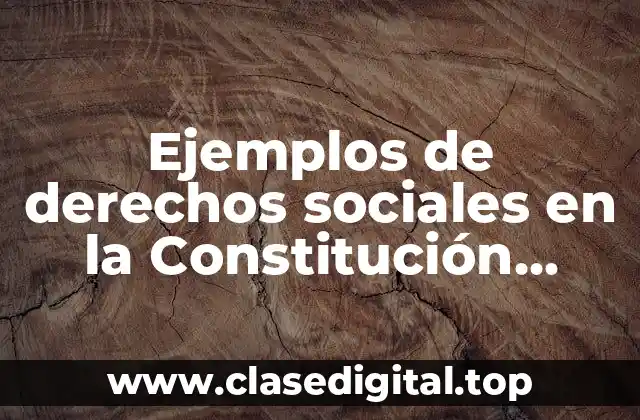 Ejemplos de derechos sociales en la Constitución Argentina