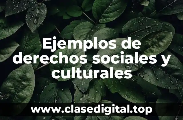 Ejemplos de derechos sociales y culturales