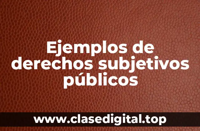 Ejemplos de derechos subjetivos públicos